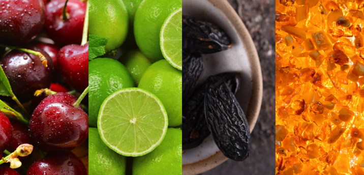 Fragrance Development 